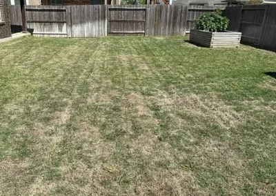 Amazing Landscape Services