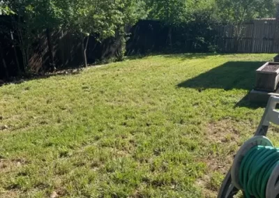 Best Landscape Services