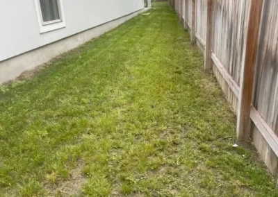 Impressive Landscape Services