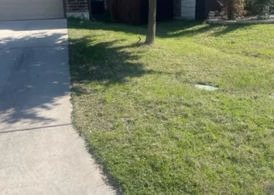 Incredible Landscape Services