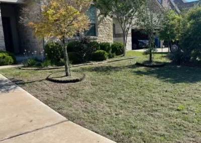 Landscape Maintenance