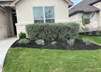 Landscape Services
