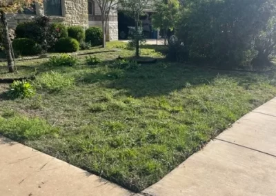 Landscaping Contractor