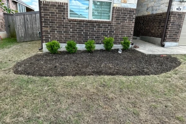 Mulching