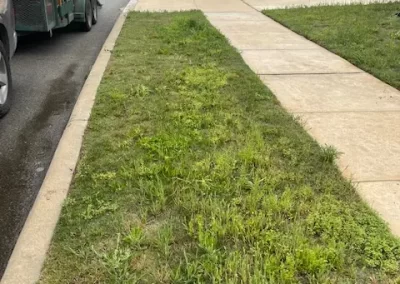 Quality Landscape Services
