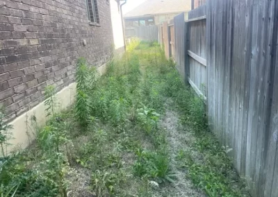 Reliable Landscape Services
