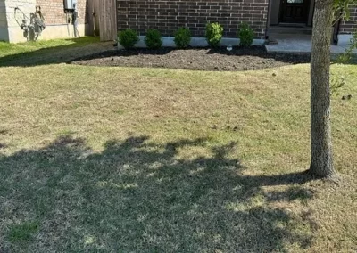 Reputable Landscape Services