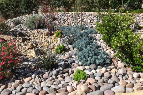 Rock Landscaping