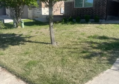 Trusted Landscape Services